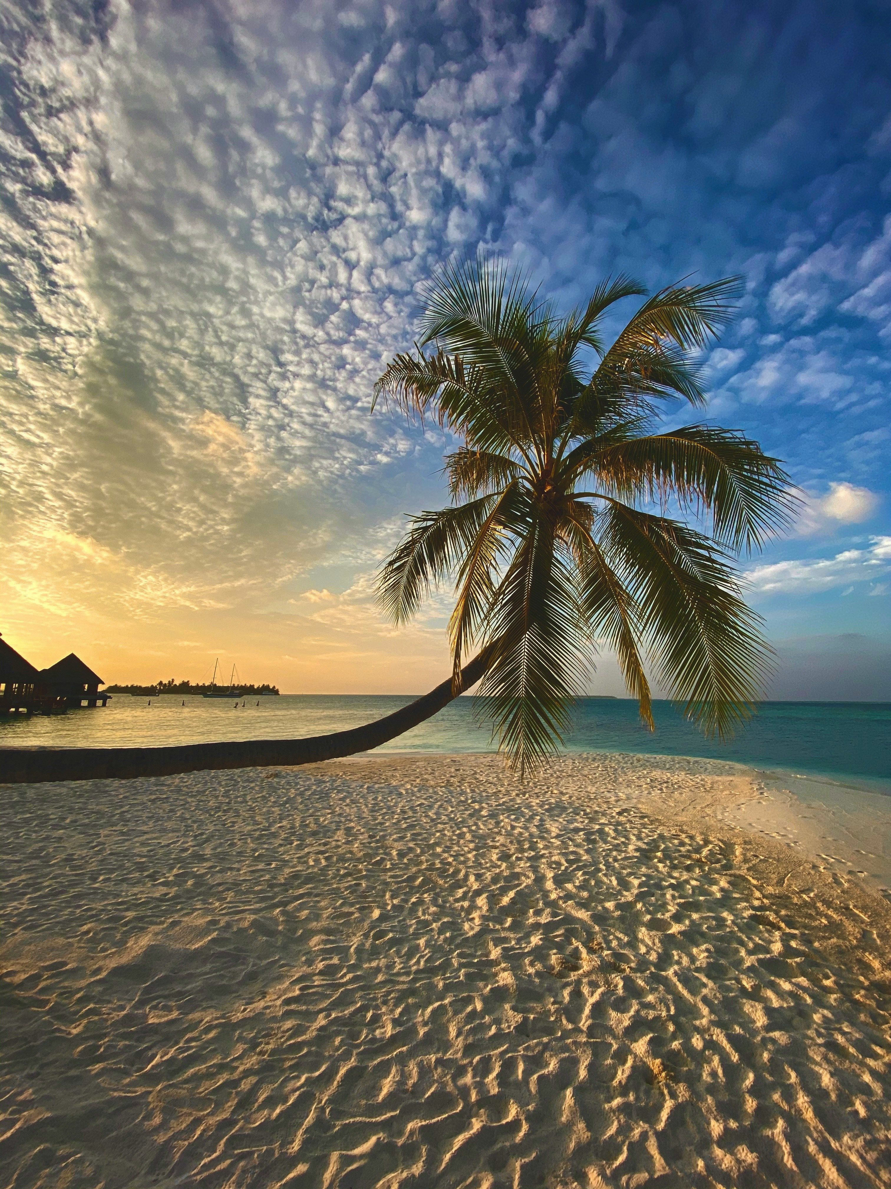 Beaches in Al Furjan