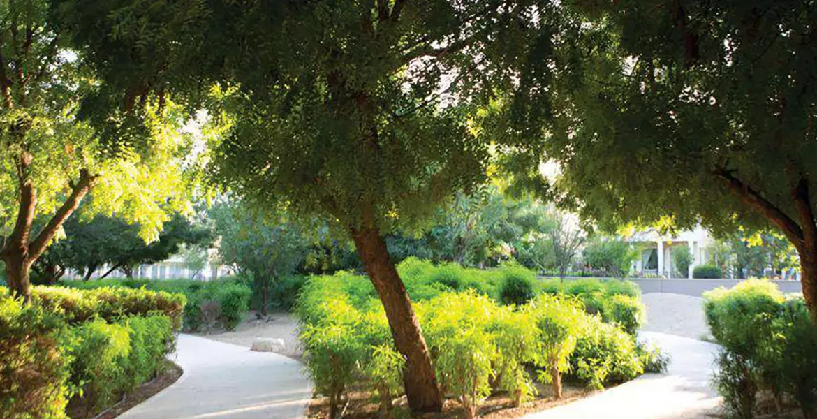 Palma Villas 